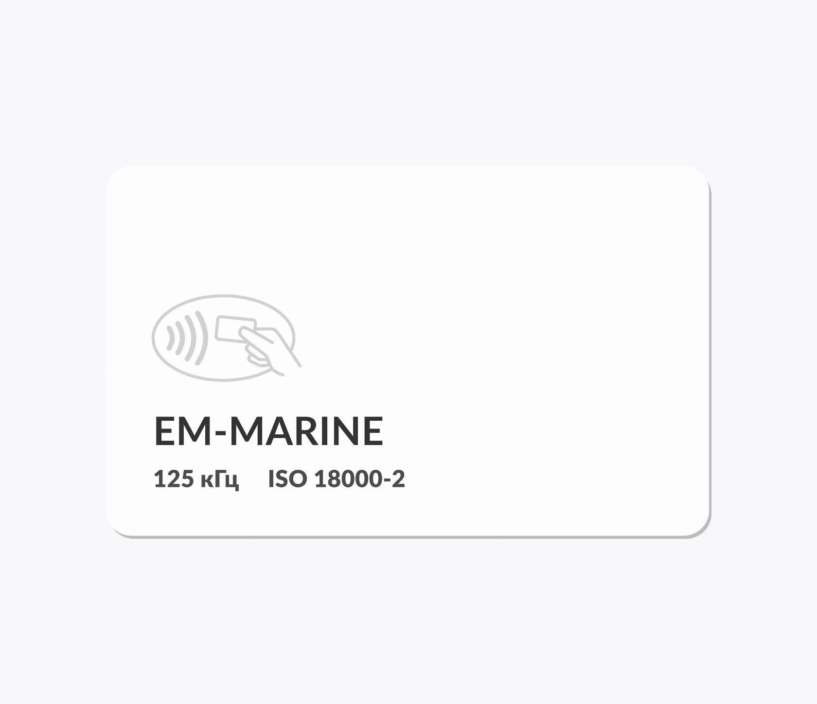 Фото RFID-карты с чипом EM-MARINE ISO EM4200, TK4100 Белые RFID-карты без печати EM-Marine